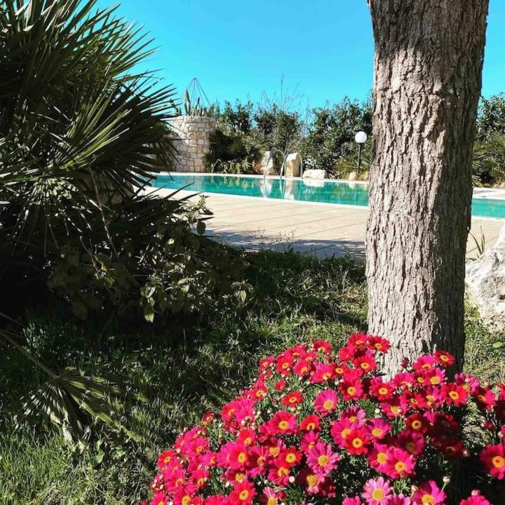 פולינאנו א מארה Pugliaholidayplus - Villa Cassano מראה חיצוני תמונה